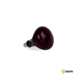 Gaun Lampe Infrarouge 250W