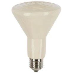 Ampoule Céramique Sans Lumière Lampe Chauffante Poule 100W - Kerbl
