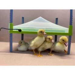 Couvercle De Protection De Panneau Chauffant Pour Poussin Caleo 700 30x20cm - River Systems -Volaille Magasin 1 piastra riscaldante caleo river systems 1 scaled 1