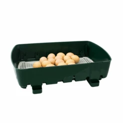 Couveuse Semi-automatique Digitale Poule ET 24 Capacité 24 œufs - River Systems 16 Couveuse Semi-automatique Digitale Poule ET 24 Capacité 24 œufs - River Systems -Volaille Magasin 524 incubatrice digitale et 24 griglia schiusa