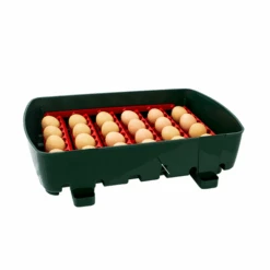 Couveuse Semi-automatique Digitale Poule ET 24 Capacité 24 œufs - River Systems 15 Couveuse Semi-automatique Digitale Poule ET 24 Capacité 24 œufs - River Systems -Volaille Magasin 524 incubatrice digitale et 24 vassoio porta uova