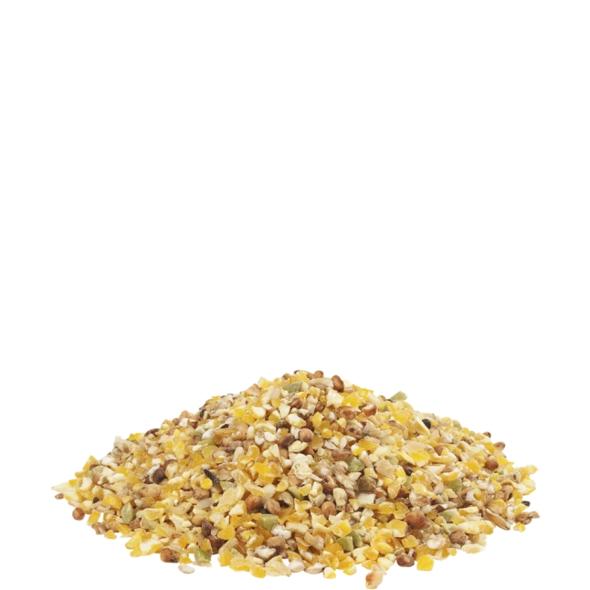 VERSELE-LAGA Mélange Pour Poussins Et Cailles Country’s Best Gra-Mix 20kg+4kg OFFERT - Versele Laga 4 VERSELE-LAGA Mélange Pour Poussins Et Cailles Country’s Best Gra-Mix 20kg+4kg OFFERT - Versele Laga – Image 2