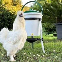 Abreuvoir Poule Sur Pieds Avec Seau Rivus 17L - River Systems 13 Abreuvoir Poule Sur Pieds Avec Seau Rivus 17L - River Systems -Volaille Magasin abreuvoir a seau sur pied 17 litres rivus river systems avec poule