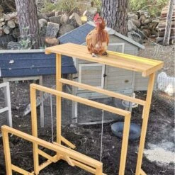 Aire De Jeux En Bois Pour Poule Avec Balançoire 16 Aire De Jeux En Bois Pour Poule Avec Balançoire -Volaille Magasin aire de jeux poule avec balancoire avec poule