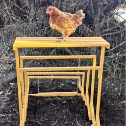 Aire De Jeux En Bois Pour Poule Avec Balançoire 19 Aire De Jeux En Bois Pour Poule Avec Balançoire -Volaille Magasin aire de jeux poule avec balancoire avec poule arriere