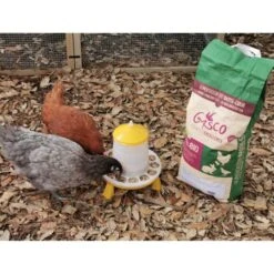 Mélange Pour Poule Pondeuse Bio 8 Kg -Volaille Magasin alimentation pondeuse bio 8kg avec poules