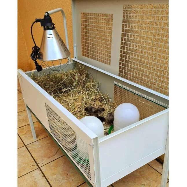 Cage éleveuse Pour Poussins Rectangulaire 50 à 60 Poussins - Gaun 4 Cage éleveuse Pour Poussins Rectangulaire 50 à 60 Poussins - Gaun – Image 2