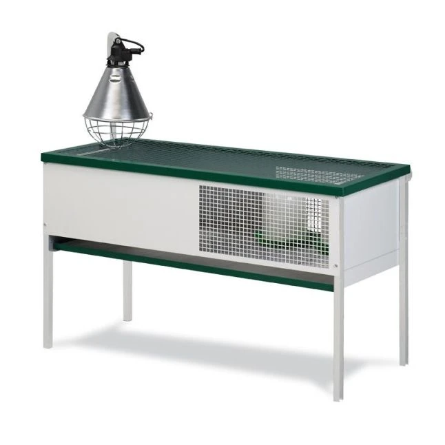 Cage éleveuse Pour Poussins Rectangulaire 50 à 60 Poussins - Gaun 3 Cage éleveuse Pour Poussins Rectangulaire 50 à 60 Poussins - Gaun