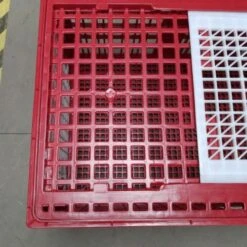 Cage Transport Grandes Volailles 96x57x42cm 3 Portes Rouge Et Blanche -Volaille Magasin cage transport grandes volailles 96x57x42 aytav detail
