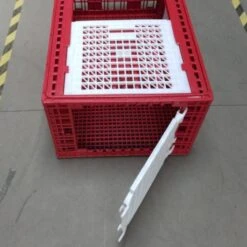 Cage Transport Grandes Volailles 96x57x42cm 3 Portes Rouge Et Blanche -Volaille Magasin cage transport grandes volailles 96x57x42 aytav detail cote ouverte