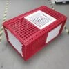 Cage Transport Grandes Volailles 96x57x42cm 3 Portes Rouge Et Blanche -Volaille Magasin cage transport grandes volailles 96x57x42 aytav profil fermee