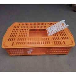 Cage Transport Petites Volailles 67x45x15cm 2 Portes Orange Et Blanche -Volaille Magasin cage transport volailles 67x45x15 aytav cote ouverte