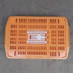 Cage Transport Petites Volailles 67x45x15cm 2 Portes Orange Et Blanche -Volaille Magasin cage transport volailles 67x45x15 aytav dessus fermee