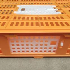 Cage Transport Petites Volailles 67x45x15cm 2 Portes Orange Et Blanche -Volaille Magasin cage transport volailles 67x45x15 aytav detail cote fermee