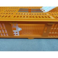 Cage Transport Petites Volailles 67x45x15cm 2 Portes Orange Et Blanche -Volaille Magasin cage transport volailles 67x45x15 aytav detail cote ouverte