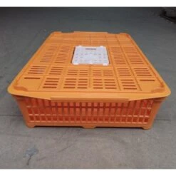 Cage Transport Petites Volailles 67x45x15cm 2 Portes Orange Et Blanche -Volaille Magasin cage transport volailles 67x45x15 aytav vue cote fermee
