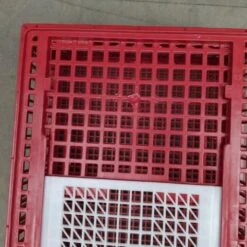 Cage Transport Poules Et Volailles 96x57x27cm 2 Portes Rouge Et Blanche -Volaille Magasin cage transport volailles 96x57x27 aytav gros plan