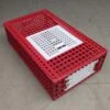 Cage Transport Poules Et Volailles 96x57x27cm 2 Portes Rouge Et Blanche -Volaille Magasin cage transport volailles 96x57x27 aytav profil fermee