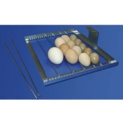 Couveuse Automatique Digitale Poule Cip Cip 40 Mini LED PVC Capacité 40 œufs - FIEM -Volaille Magasin couveuse automatique cip cip fiem grille oeufs reglable 2