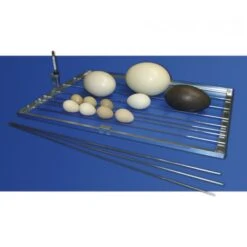 Couveuse Automatique Digitale Poule Cosmo 72 Mini LCD Capacité 72 œufs - FIEM -Volaille Magasin couveuse automatique cosmo 72 mini led fiem grille