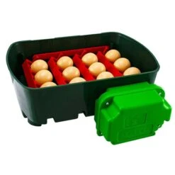 Couveuse Automatique Digitale Poule ET 12 Capacité 12 œufs - River Systems -Volaille Magasin couveuse automatique digitale et 12 river systems retournement automatique