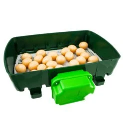 Couveuse Automatique Digitale Poule ET 24 Capacité 24 œufs - River Systems 15 Couveuse Automatique Digitale Poule ET 24 Capacité 24 œufs - River Systems -Volaille Magasin couveuse automatique digitale et 24 river systems ouverte