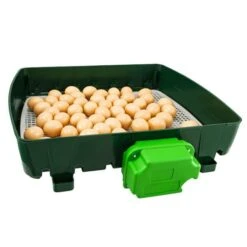 Couveuse Automatique Digitale Poule ET 49 Capacité 49 œufs - River Systems -Volaille Magasin couveuse automatique digitale et 49 river systems ouverte