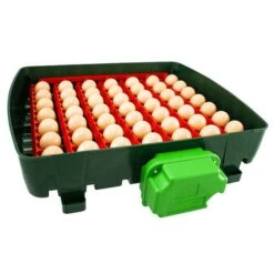 Couveuse Automatique Digitale Poule ET 49 Capacité 49 œufs - River Systems -Volaille Magasin couveuse automatique digitale et 49 river systems retournement automatique