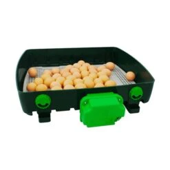 Couveuse Automatique Digitale Poule ET Super Capacité 49 œufs - River Systems 17 Couveuse Automatique Digitale Poule ET Super Capacité 49 œufs - River Systems -Volaille Magasin couveuse automatique digitale et super 49 river systems ouverte