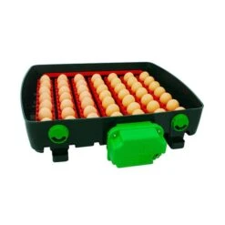 Couveuse Automatique Digitale Poule ET Super Capacité 49 œufs - River Systems 16 Couveuse Automatique Digitale Poule ET Super Capacité 49 œufs - River Systems -Volaille Magasin couveuse automatique digitale et super 49 river systems ouverte oeufs ranges