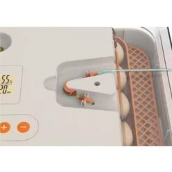 Couveuse Automatique Digitale Poule Dual Power Capacité 56 œufs - HHD -Volaille Magasin couveuse wonegg dual power 56 oeufs hhd detail