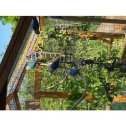 Grand Parc Grillagé Pour Poulailler Vorwerk -Volaille Magasin extension poulailler gournay ame2