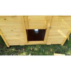 Poulailler Cémani XXL Toit Shingle Noir 15 à 18 Poules 19 Poulailler Cémani XXL Toit Shingle Noir 15 à 18 Poules -Volaille Magasin grand poulailler bassette xxl 15 18 poules vue porte 1