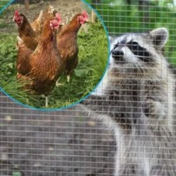 Grillage Poulailler Galvanisé Maille Fine Carrée Fensanet 25m X 1m épaisseur 0,8 Mm - Nortene 5 Grillage Poulailler Galvanisé Maille Fine Carrée Fensanet 25m X 1m épaisseur 0,8 Mm - Nortene -Volaille Magasin grillage maille carree poule fensanet nortene exemple 1