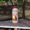 Anti Poux Rouges Biologique Pour Poule Et Oiseaux Androlis 500mL Taille M - Bestico 2 Anti Poux Rouges Biologique Pour Poule Et Oiseaux Androlis 500mL Taille M - Bestico -Volaille Magasin image i2x