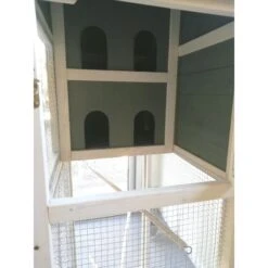 Volière Oiseaux En Bois Avec Toit Shingle Inséparable Bleue Et Blanche 18 Volière Oiseaux En Bois Avec Toit Shingle Inséparable Bleue Et Blanche -Volaille Magasin img 20220806 110223