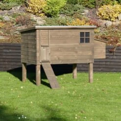 Poulailler Houdan XL Sur Pilotis Toit Shingle Noir 6 Poules Bois Epicéa