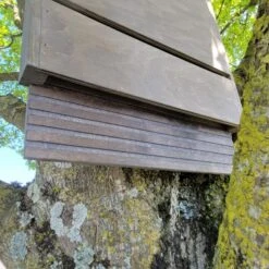 Nichoir Chauve-souris Bois FSC Grande Taille -Volaille Magasin maison chauve souris grande d tail entr 2