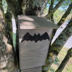 Nichoir Chauve-souris Bois FSC Petite Taille -Volaille Magasin maison chauve souris petite face avant 1