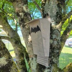 Nichoir Chauve-souris Bois FSC Petite Taille -Volaille Magasin maison chauve souris petite vue c t
