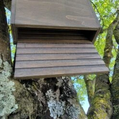 Nichoir Chauve-souris Bois FSC Petite Taille -Volaille Magasin maison chauve souris petite vue dessous