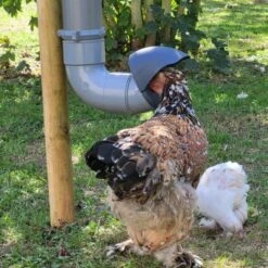 Mangeoire Pour Poule En Plastique Tube Gris 7kg Prima 2 - Evena -Volaille Magasin mangeoire poule plastique tube gris utilisation