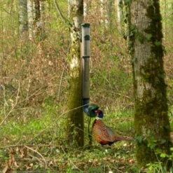 Mangeoire Pour Poule En Plastique Gris Tube Transparent 7kg Prima - Evena -Volaille Magasin mangeoire poule plastique tube transparent en foret