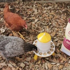 Gaun Mangeoire Poule à Pieds En Bioplastique Végétal Eco 2Kg 14 Gaun Mangeoire Poule à Pieds En Bioplastique Végétal Eco 2Kg -Volaille Magasin mangeoire bioplastique avec pieds 2 kg