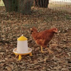 Gaun Mangeoire Poule à Pieds En Bioplastique Végétal Eco 2Kg 17 Gaun Mangeoire Poule à Pieds En Bioplastique Végétal Eco 2Kg -Volaille Magasin mangeoire poule bioplastique avec poule