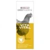 VERSELE-LAGA Complexe Multivitaminé Pour Volailles VitaVital 500ML - Versele Laga -Volaille Magasin oropharma vita vital 500 image 1 1