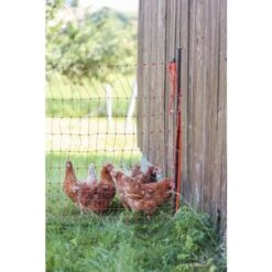 Piquet Support Pour Filet à Poules En Acier Galvanisé Et Gaine Plastique 120cm - Kerbl 15 Piquet Support Pour Filet à Poules En Acier Galvanisé Et Gaine Plastique 120cm - Kerbl -Volaille Magasin piquet support pour filet o14mm 120cm kerbl vue 6