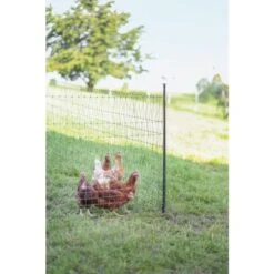 Piquet Support Pour Filet à Poules En Acier Galvanisé Et Gaine Plastique 120cm - Kerbl 13 Piquet Support Pour Filet à Poules En Acier Galvanisé Et Gaine Plastique 120cm - Kerbl -Volaille Magasin piquet support pour filet o14mm 120cm kerbl vue 7