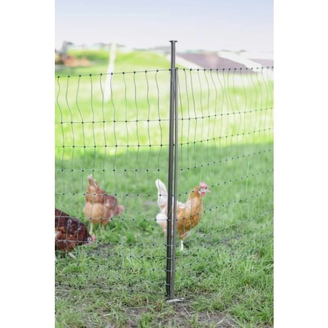 Piquet Support Pour Filet à Poules En Acier Galvanisé Et Gaine Plastique 120cm - Kerbl 8 Piquet Support Pour Filet à Poules En Acier Galvanisé Et Gaine Plastique 120cm - Kerbl – Image 6