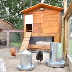 Poulailler Vorwerk Toit Shingle 10 à 12 Poules -Volaille Magasin portier automatique poulailler zen farm vert ambiance 4